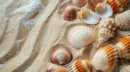 Close-up shot of a cluster of sea shells in a mix of textures and colors, set against a smooth, beige sand background that enhances the shell details
