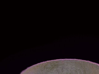 Abstract loop background texture with brown and pink lines curved texture with black background , with rough and grainy texture 