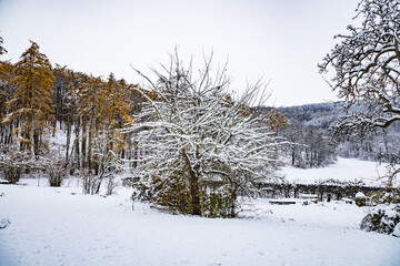 Kassel, Germany - trees and buildings in winter