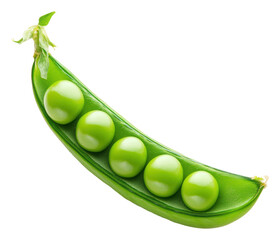PNG Fresh green peas in a pod on white background