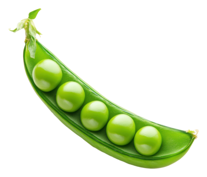 PNG Fresh green peas in a pod on white background
