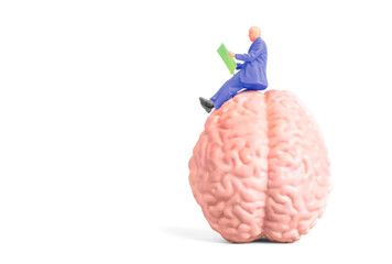 Miniature Businessman Reading on a Large Brain Model