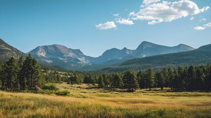 Obraz premium A breathtaking view of a national park with majestic mountains in the background and a clear blue sky