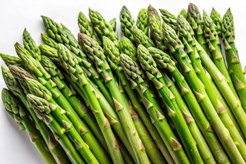 Close-up of medicinal plant Asparagus racemosus Willd green leaves