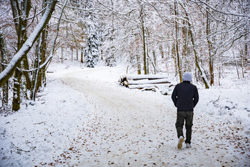 Kassel, Germany - trees and buildings in winter