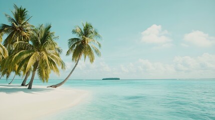 Fototapeta premium A serene view of a tropical island with palm trees swaying gently in the breeze, crystal-clear waters lapping at the shore, and a soft sandy beach, captured against a light solid color background