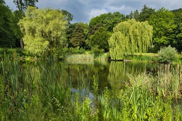 Fototapeta premium Goslar, Harz, Frankenbergerteich