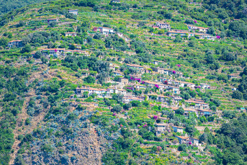 Beautiful view of many houses of the village of Campiglia Tramonti, located on a coastal mountain in Cinque Terre National Park at the Ligurian coast, Italy