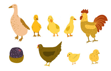 Duck, duckling, chicken, hen and rooster. Cute poultry farm characters, cartoon chick with baby duck isolated.