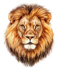 Fototapeta premium PNG Majestic lion portrait showcasing vibrant colors