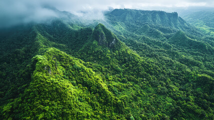 Aerial view of mountain range covered in lush green vegetation, showcasing natures beauty