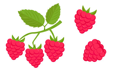Set of fresh and vibrant raspberries with green leaves. Delicious and healthy berry harvest. Isolated on white background