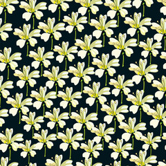 Graphic pattern Meadow vector pattern flowers gypsophila graphic design pattern on a dark blue background