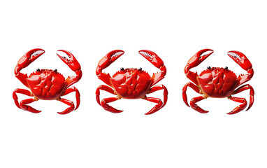Three vibrant red crabs displayed on white background,png