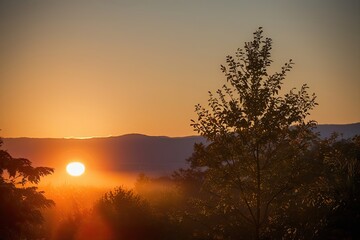 Fototapeta premium Captivating Afternoon Sunlight with Warm Tones and Enchanting Glow