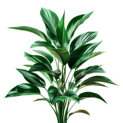 Obraz premium Tropical plants bush with green leaves arrangement