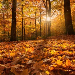 Golden Autumn Leaves Creating a Carpet of Color in a Tranquil Forest