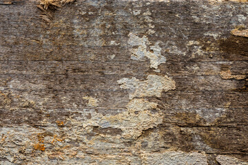 Wood plank with concrete residue and iron rust stain: Background Graphic Texture