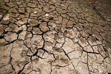A dry lake is a waterless basin with a cracked, saline and dusty bed, caused by climate change
