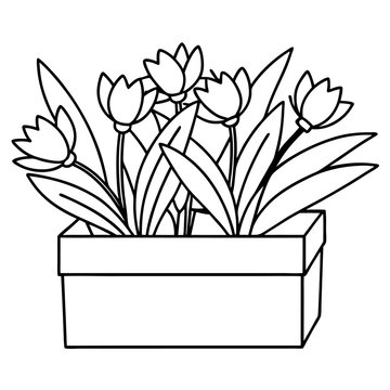 recommend clip art: flowers on wooden box outline coloring book page line art drawing