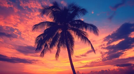 Palm Tree Silhouette at Sunset