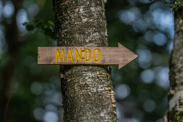Disc golf mando sign on a tree.