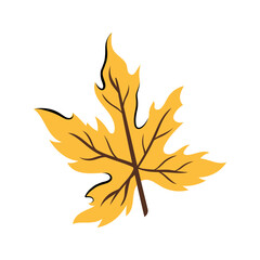 Cute autumn maple leaf. Vector illustration in flat and Doodle style for the autumn design