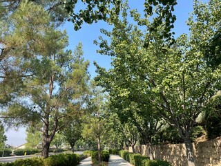 Walking path in the park, while on a brisk walk on a bright sunny cool morning