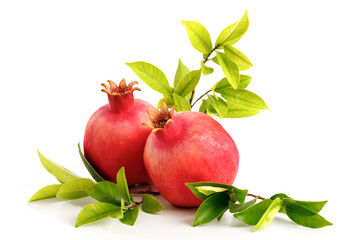 Pomegranates symbol of the Jewish holiday-Rosh Hashanah white background.