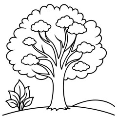 garden or forest tree outline coloring book page line art drawing