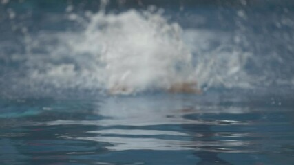 A professional swimmer, raising a lot of spray, floats on his path in the pool.