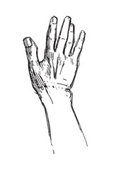 Hand drawn gestures. Pointer finger, strong fist and punch. Handshake, thumb up like and triumph victory gesture sketch vector illustration set. Engraved hand signals and signs for communication 