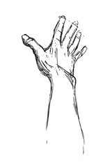 Hand drawn gestures. Pointer finger, strong fist and punch. Handshake, thumb up like and triumph victory gesture sketch vector illustration set. Engraved hand signals and signs for communication 