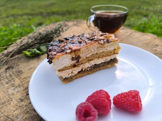 piece of delicious cake on a white plate. High quality photos