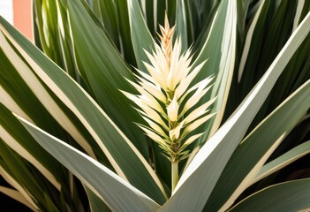 Obraz premium vibrant yucca plant showcased minimalist design setting clean lines natural elements, greenery, decor, home, interior, foliage, nature, aesthetics