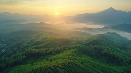 Fototapeta premium Majestic Aerial Landscape of Misty Mountain Ranges and Lush Green Valleys at Sunrise or Sunset