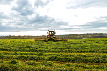 Farm tractor and mower cutting hay field at sunset with trees in background