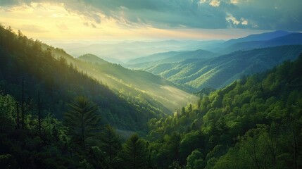 Obraz premium Stunning Scenery in the Smoky Mountains