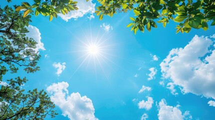 Sunny Sky with Clouds and Trees Under Clear Blue Summer Day Sky