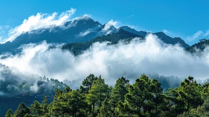 Naklejka premium Sky landscape over mountain peak with low white clouds among trees