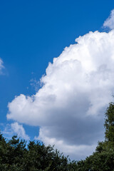 真夏の青空と白い雲