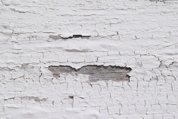 剥がれた白い塗装