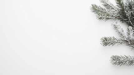 Snow-dusted pine branches on a white background create a minimalistic and festive composition for winter or Christmas-themed designs