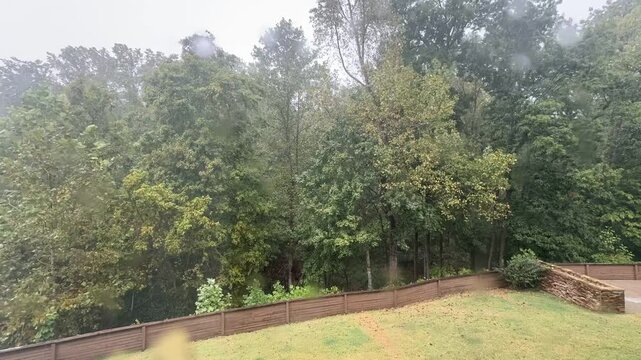 Torrential rainstorm hits suburban backyard with heavy winds and dense fog in the afternoon