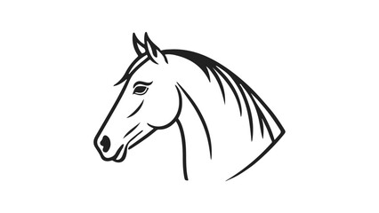 horse isolated on white background