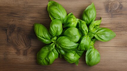 Fototapeta premium a bunch of basil leaves herb on a wooden surface