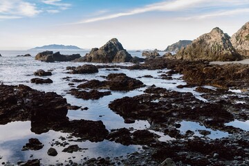 Rockpools and giant rocks on stony shoreline in Tawharanui, Warkworth, Auckland, New Zealand.