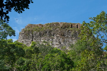 Ancient Tikal Ruins rise above lush jungle canopy in Guatemala during a bright day
