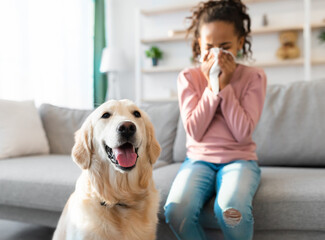 Pet Allergy Concept. Ill black girl sneezing and holding paper napkin, suffering from runny nose...