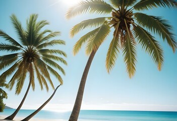A tropical beach with a palm tree, clear blue sky, and calm turquoise waters